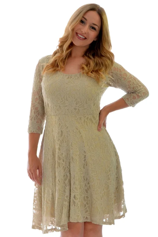 Pretty Lace Lined Skater Dress